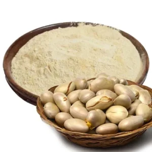 Dried Jackfruit Seed Powder