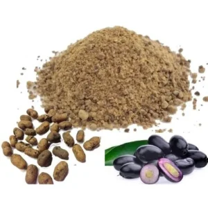 Jamun Seed Powder