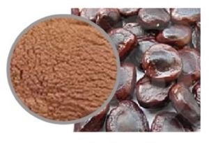 Tamarind Seed Powder